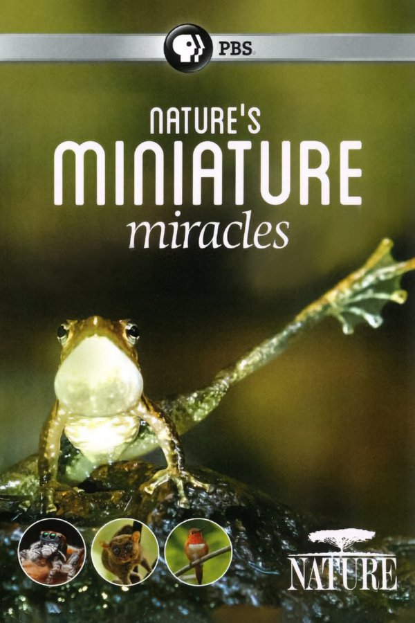 Постер Nature's Miniature Miracles